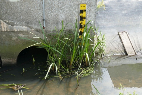 spaarbekken Hoekskensstraat Lochristi spaarbekken Hoekskensstraat Lochristi