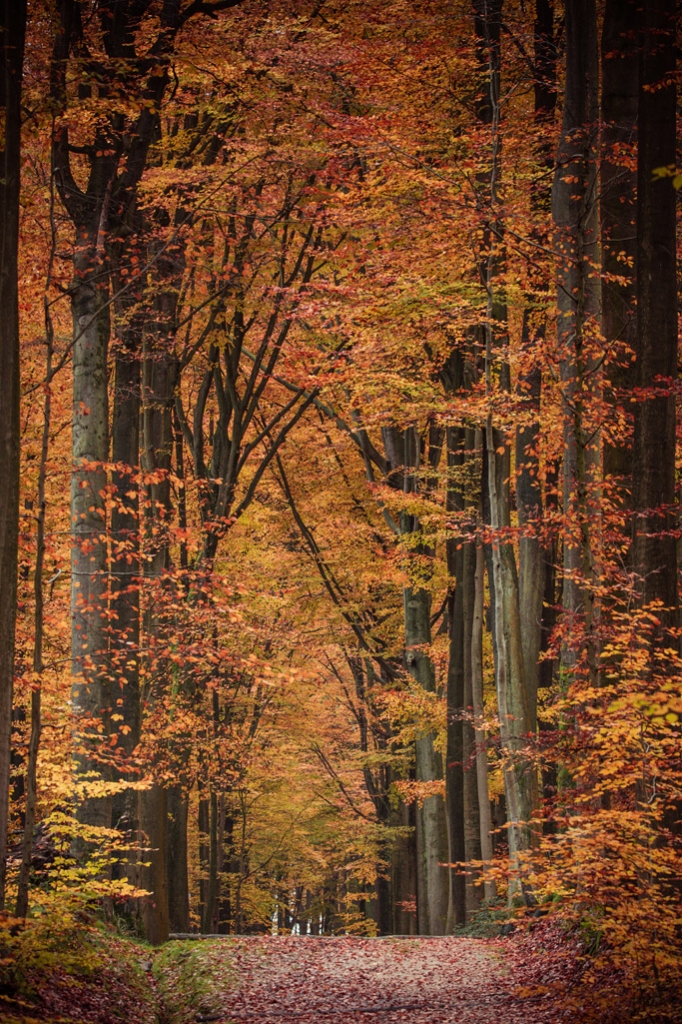KaG - © Annick Gentier KaG - © Annick Gentier