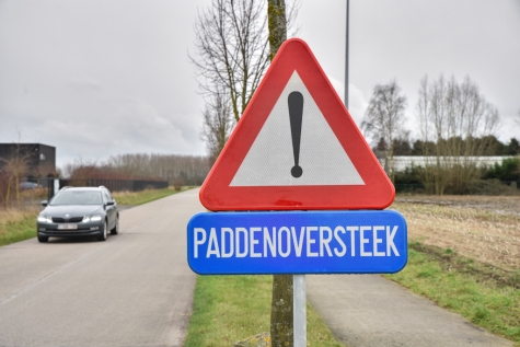 Paddentrek - © Bennie Vanderpiete Paddentrek - © Bennie Vanderpiete