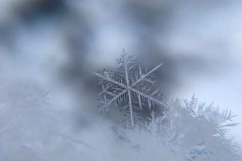 sneeuw