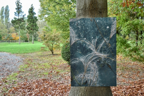 Kunst achter Glas - Lus 2 - © Bennie Vanderpiete Kunst achter Glas - Lus 2 - © Bennie Vanderpiete