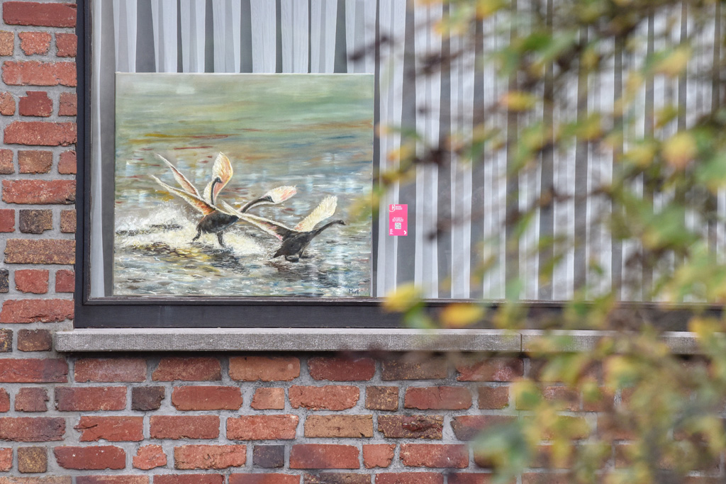 Kunst achter Glas - Lus 2 - © Bennie Vanderpiete Kunst achter Glas - Lus 2 - © Bennie Vanderpiete
