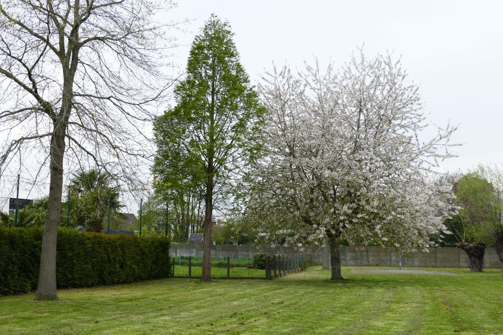 buurtplein Kerkwegelakker Lochristi buurtplein Kerkwegelakker Lochristi