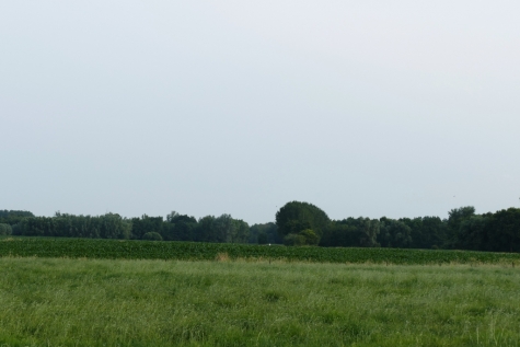 Windmolens op grens Beervelde – Laarne protest engie luminus Windmolens op grens Beervelde – Laarne protest engie luminus